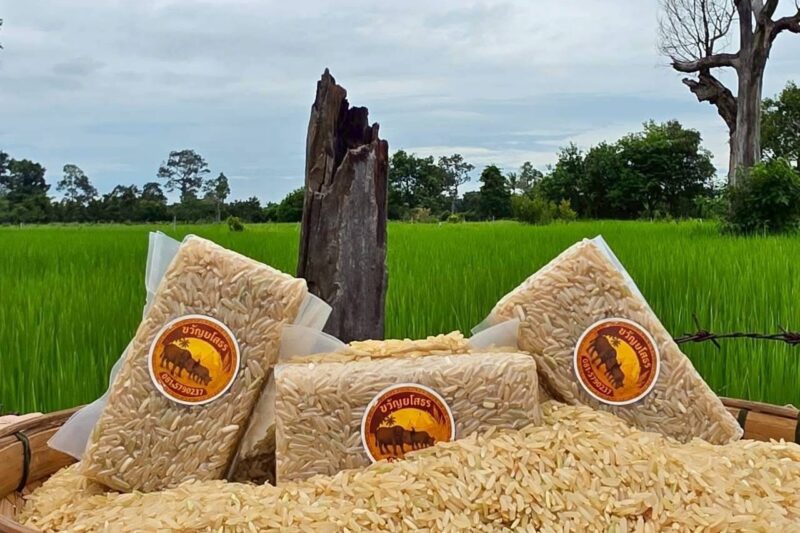สินค้าคุณภาพ ราคาน่ารัก เหมาะสำหรับเป็นของขวัญ หรือของชำร่วยปีใหม่แบบมีสไตล์ไม่เหมือนใคร สนใจติดต่อ: วิสาหกิจชุมชนเกษตรธรรมชาติอินทรีย์หนองยอ  ตำบลกำแมด  อำเภอกุดชุม  จังหวัดยโสธร หรือ tiktok.com/@numfarpairwa