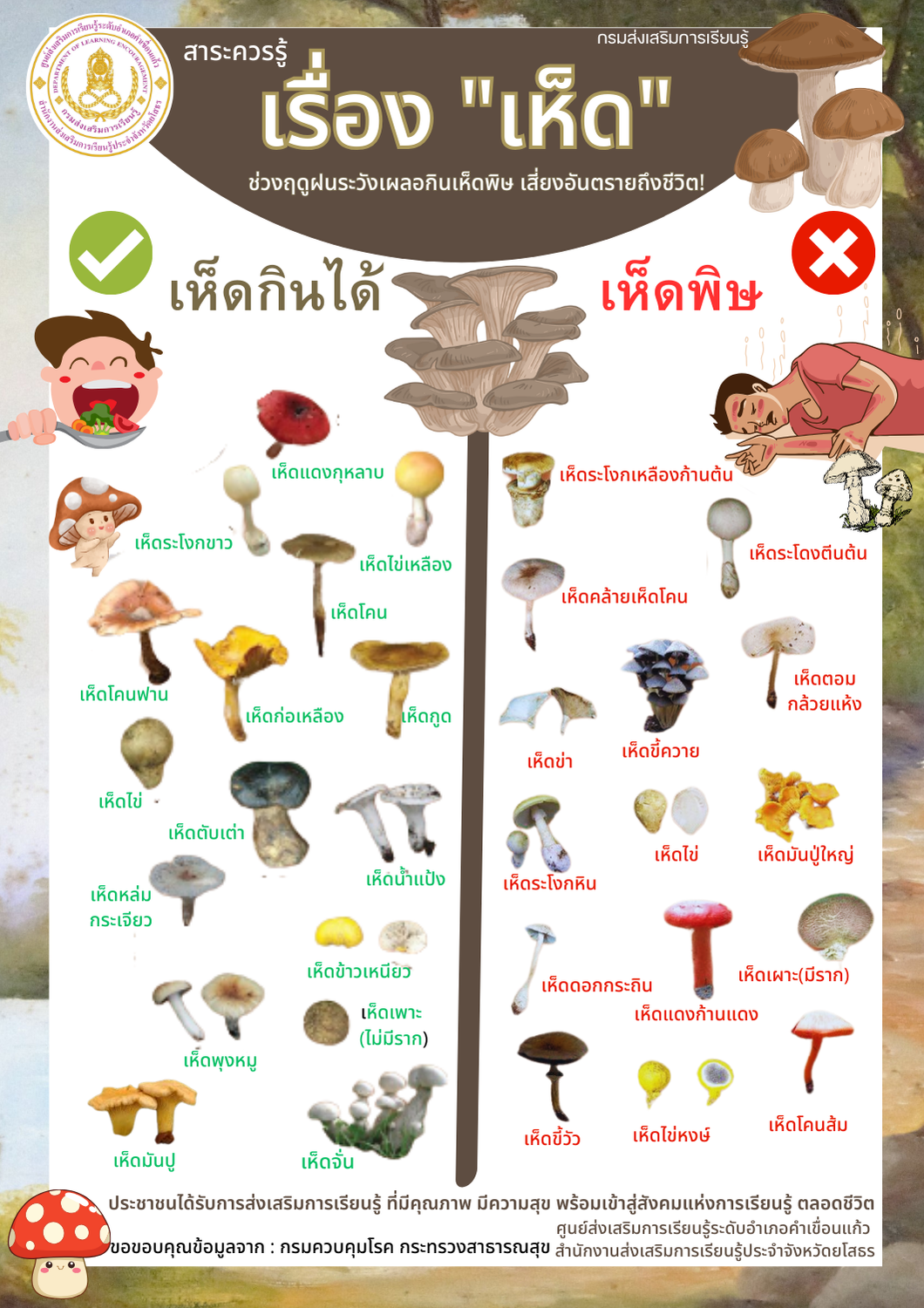 สาระควรรู้ เรื่อง “เห็ด”