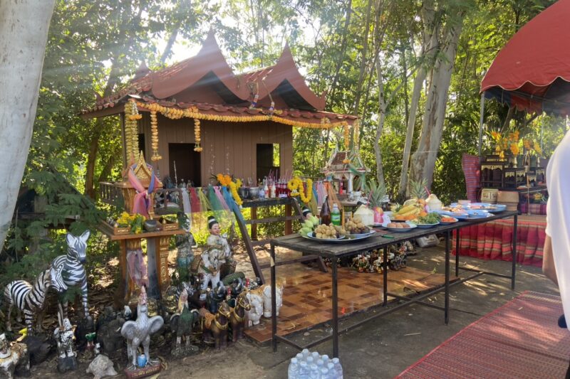 ทำบุญตักบาตร บวงสรวงศาลปู่ย่าหนองแสง