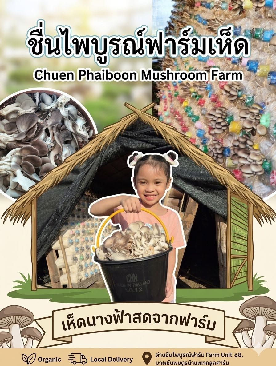 ชื่นไพบูรณ์ฟาร์มเห็ด