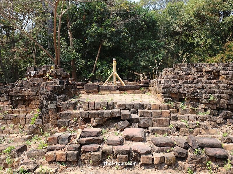ดงเมืองเตย