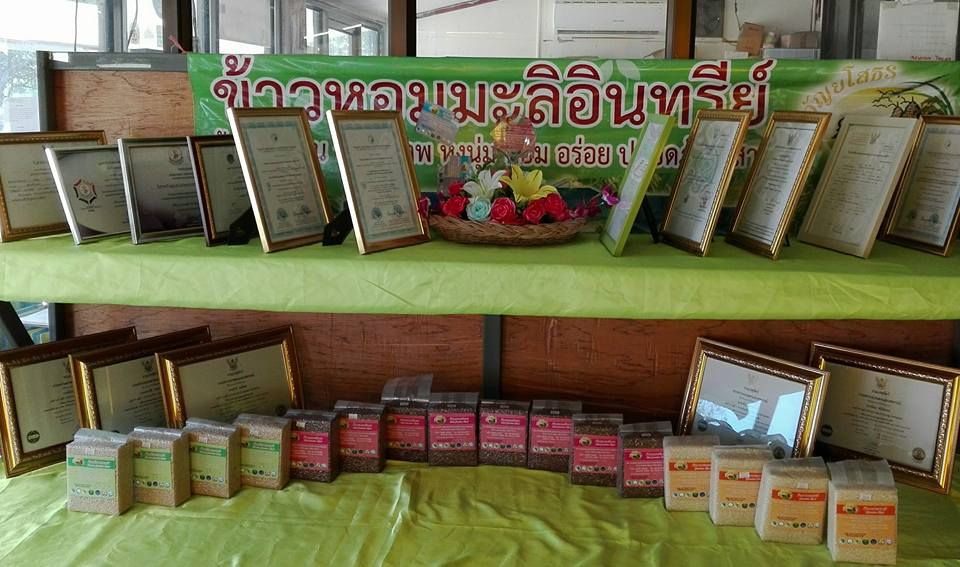 ฐานการเรียนรู้ข้าวอินทรีย์  (วิสาหกิจชุมชนเกษตรธรรมชาติหนองยอ) บ้านกุดหิน ม.4 ต.กำแมด อ.กุดชุม จ.ยโสธร