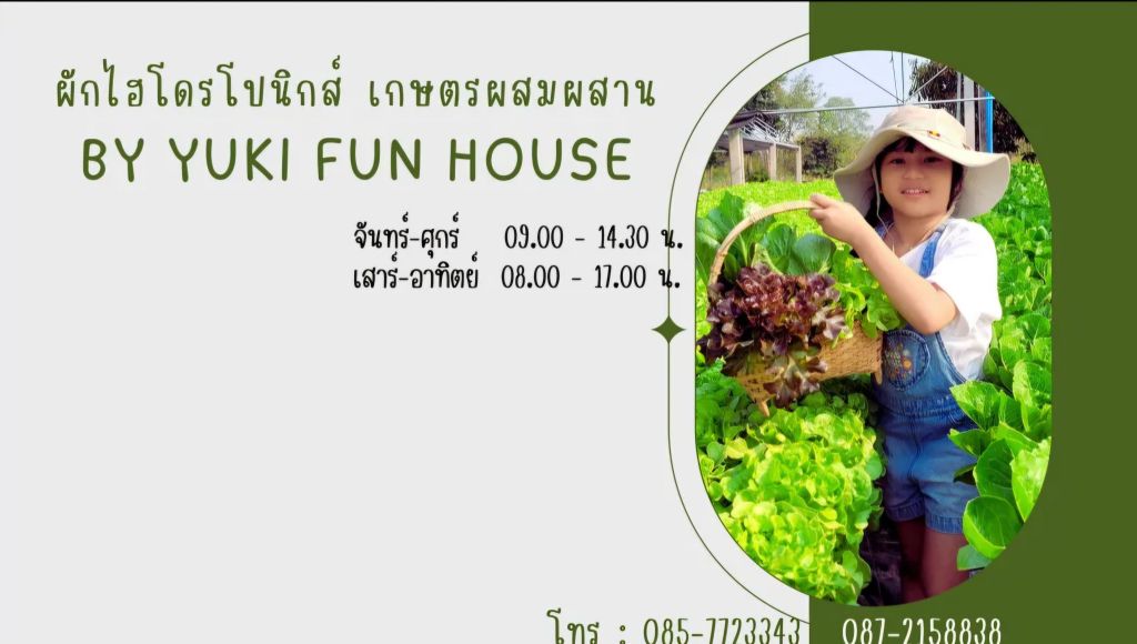 การปลูกผักไฮโดรโปนิกส์