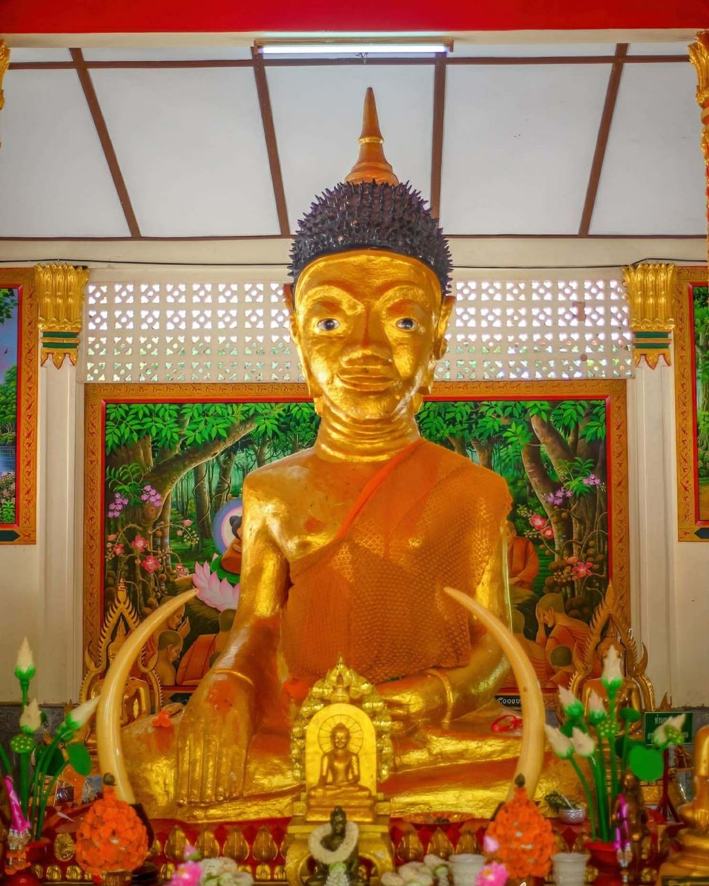 วังมัจฉาวัดบ้านกว้าง